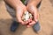 Handful of sea shells