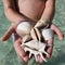 Handful of Seashells - Fiji - South Pacific