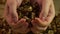 Handful of shelled walnuts in female hands, organic food product, healthy diet