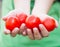 Handful of tomato. Woman holding tomato in hands