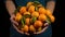 A handful of vibrant and tangy tangerines.