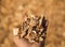 A handful of wood chips.