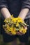 A handful of yellow dandelions