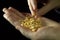 Handful of yellow split peas in hand against a black background