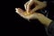 Handful of yellow split peas in hand against a black background