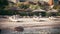 Handheld shot of empty loungers on the luxury hotel beach. Nobody.