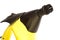 Handheld steam cleaner and brush nozzle