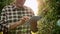 Handheld view of modern farmer checking some data from tablet