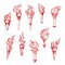 Handheld and wall red flaming torches sketch icons