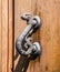 Handle in the shape of a dragon or feline or snake of ancient door of historic building