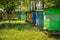 Handmade apiary with bees in countryside, Poland