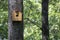 Handmade bird house hanging on the tree on the right side of the photo