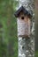 Handmade birdhouse on tree