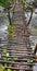 Handmade Bridge on the stream near Tamhini Ghat near Pune Maharashtra