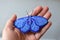 Handmade brooch of blue moth embroided with beads on a hand