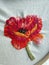 Handmade brooches embroidered with spring flowers - red poppy