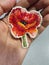 Handmade brooches embroidered with spring flowers - red poppy