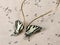 Handmade copper and brass jewelry butterfly from the genus Papilio alexanor