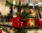 Handmade doll of red threads hanging on a branch of a Christmas tree. Children craft, decorating a Christmas tree for the New Year