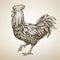 Handmade drawing Rooster