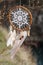 Handmade dream catcher with white doily on background of branches