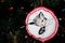 Handmade Embroidered Christmas Ornament of a Kitty Cat on a Christmas Tree