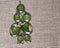 Handmade epoxy resin jewelry. pendants, ivy leaves. dried flowers. herbarium