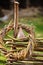 Handmade fabric chicken, wreath and osier willow fence in spring garden