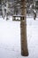 handmade feeder, birds eat from the feeder on a winter day