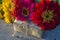 Handmade gift box and bunch of bright zinnia flowers