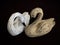 Handmade lifelike model of  wooden swan. Home and office decoration Toy.