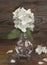 Handmade light bulb vase with jasmine flowers on the background of aged board