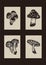 Handmade linocut mushroom motif clipart in folkart scandi style. Set of simple monochrome block print shapes with