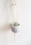 Handmade macrame ornamental flowerpot on white background