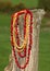 Handmade necklaces from colorful seeds and forest berries hanging on old wooden fence.