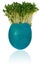 Handmade painted easter egg in a funny cress like hair.
