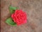 Handmade satin ribbon rose