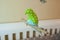 Handmade Sewn Bird Mobile in Nursery Room