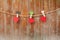 Handmade three wood hearts hanging on cloth line