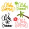 Handmade vector calligraphy and text aloha summer