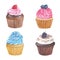 Handmade watercolor illustration of cupcakes.