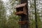 Handmade wood house for wild squirrel on the tree in the forest