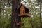 Handmade wood house for wild squirrel on the tree in the forest