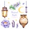 Handpainted watercolor flowers,leaves,moon and stars,night lamp,crystals and cute owl.