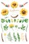 Handpainted watercolor sunflowers.31 bright watercolor clipart of sunflowers,leaves,branches,feathers,deer horns.