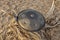 Handpan on a beach at sunset. Hang is a musical instrument for meditation.