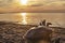 Handpan with sea and beach at sunset. Hang is a musical instrument for meditation.