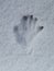 Handprint with Five fingers Deep in the Snow