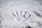 Handprint in fresh snow