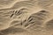 Handprints in the sand